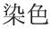 染色