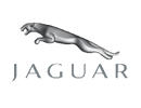 Jaguar (㥬)